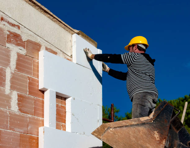 Best Insulation for Specific Applications in Mila Doce, TX