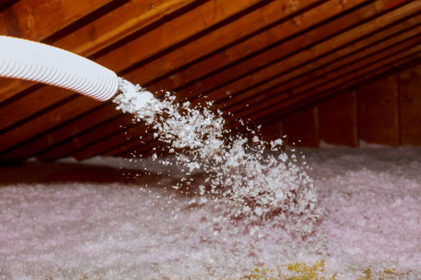 Best Insulation for Specific Applications in Mila Doce, TX