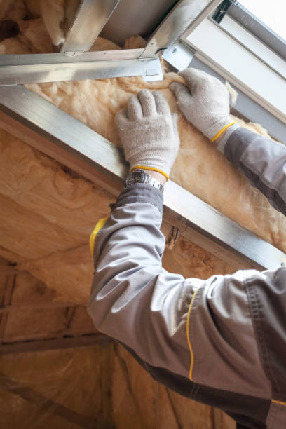 Best Types of Insulation in Mila Doce, TX